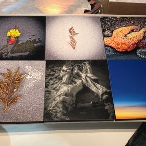 Original photography print 4x4 size